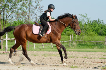 girl riding a horse