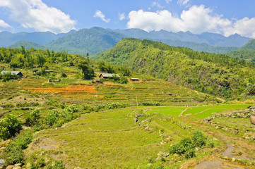 Fototapeta na wymiar Mountain view of rice terraced field in Sapa, Vietnam