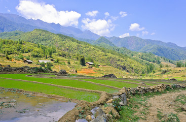 Sapa rice field and Fan Si Pan mountain on back, Vietnam