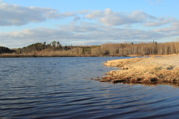 Fototapeta premium Пейзаж