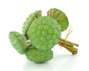 lotus seed pod on white background