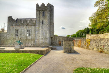Fototapeta na wymiar Desmond Castle w Newcastle West, Co Limerick, Irlandia