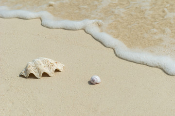 Strand Hintergrund