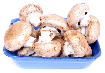 Portabellini mushrooms