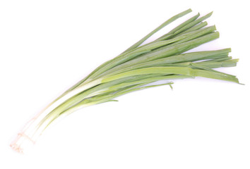 Bunch spring onions on white