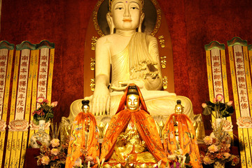 Obraz premium Buddha statuue