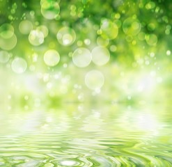 Abstract forest and sun.Reflection in water.