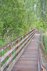 wooden boardwalk nature trail in a nature park