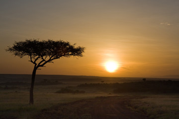 Fototapeta na wymiar Wschód słońca w Afryce