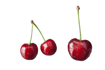 Fresh cherries, water drops, isolated on white