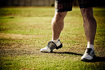 Fototapeta premium Legs