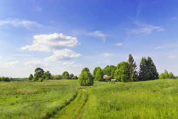 Spring rural landscape
