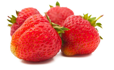 strawberries isolated