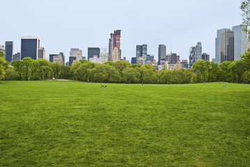 Spring View Sheep Meadow
