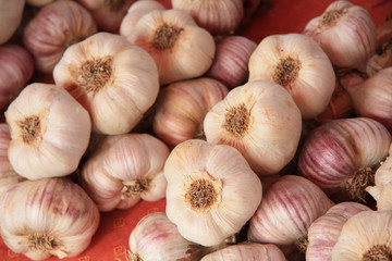 Garlic on a French market