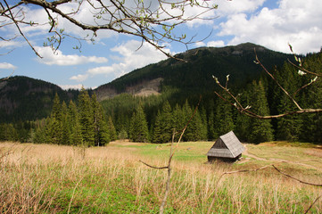 Tatry-Dolina Olczańska bacowka