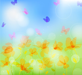 colorful meadow with butterfly