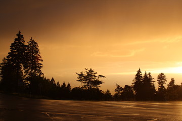 Sonnenuntergang mit  nasser Strasse