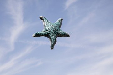 Stella matina i cielo