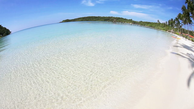 Tropical beach near the clear sea