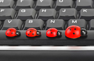 Toy ladybirds on computer keyboard