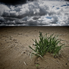 Desertification