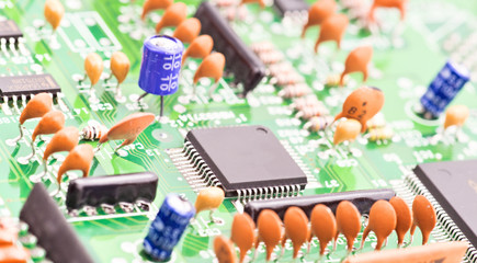 processor and other electronic components mounted on board