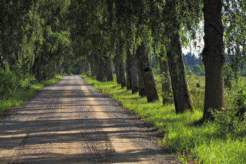 Fototapeta premium Road in the countryside.