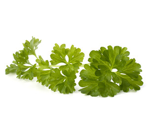 parsley