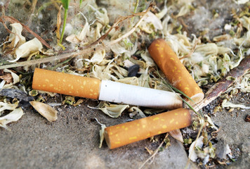 Cigarettes leftovers close view, eco and health concept background