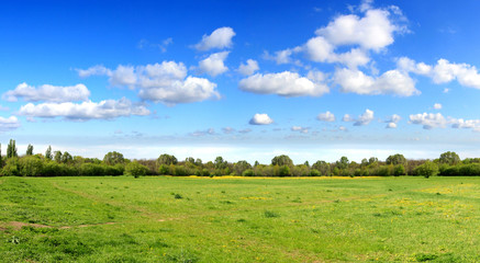 Fototapeta na wymiar Panorama nieba i pole wiosną