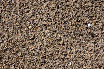 Dry sand surface