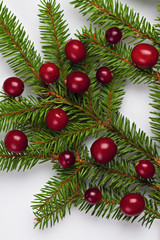 Obraz na płótnie Canvas Christmas decoration with cranberries.