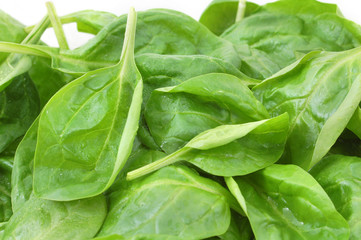 fresh spinach leafs close up