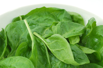 fresh baby spinach leaves close up isolated
