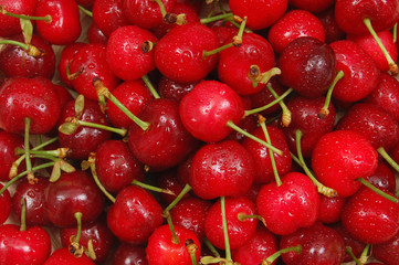 wet cherries close up