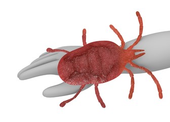 3d render of cartoon character with mite bug
