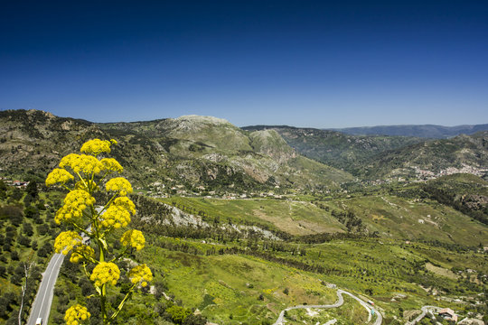 Panorama con strada