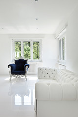 leather sofa, armchair classical, in white room