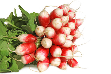 botte de radis