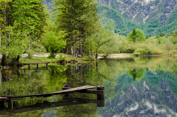 Fototapeta premium Landscape