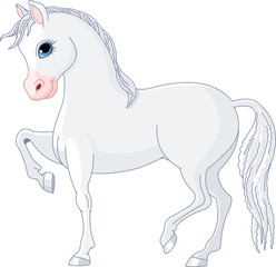 Obraz na płótnie Canvas Piękny koń