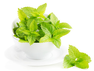 Mint isolated on white