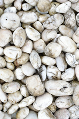 small rock