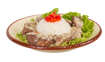 Rice and pork japanese style