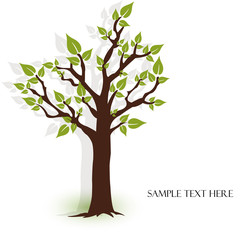 Obraz premium Beautiful vector tree with green leaves