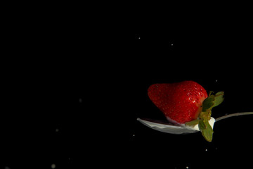 Cuill&egrave;re & Lait & Fraise