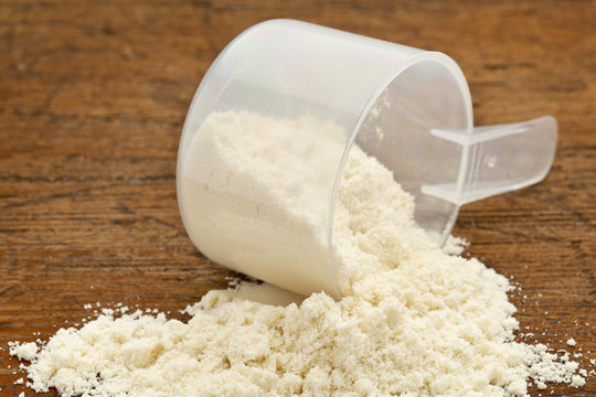 whey protein powder supplement