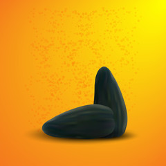 Vector sunflower seeds on orange background. Eps10