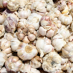 Marchés & Souks - Gousses d'ail
